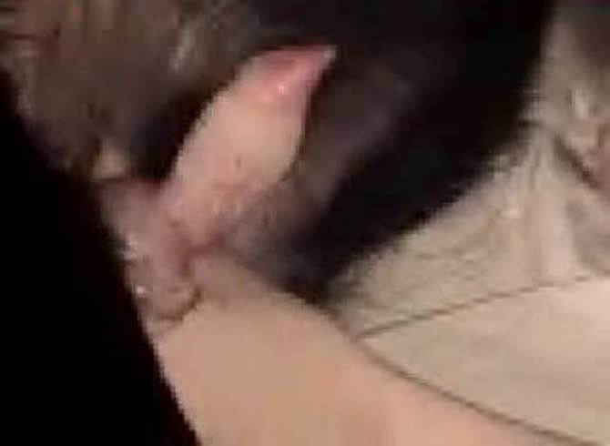 Video :Sexy babe strips underwear for a hot dog sex